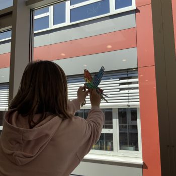 Fensterschmuck für das Lernbüro