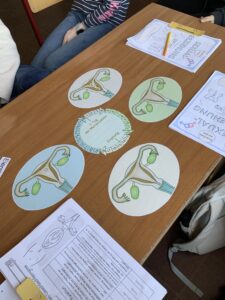 Mehr über den Artikel erfahren Projektwoche zur Sexualerziehung in den Jahrgängen 5/6