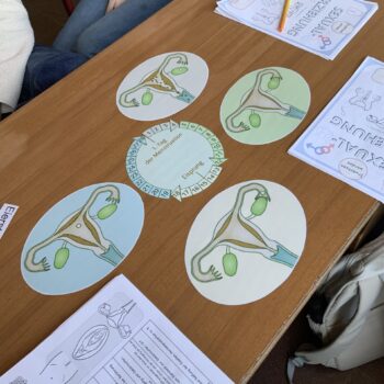 Projektwoche zur Sexualerziehung in den Jahrgängen 5/6