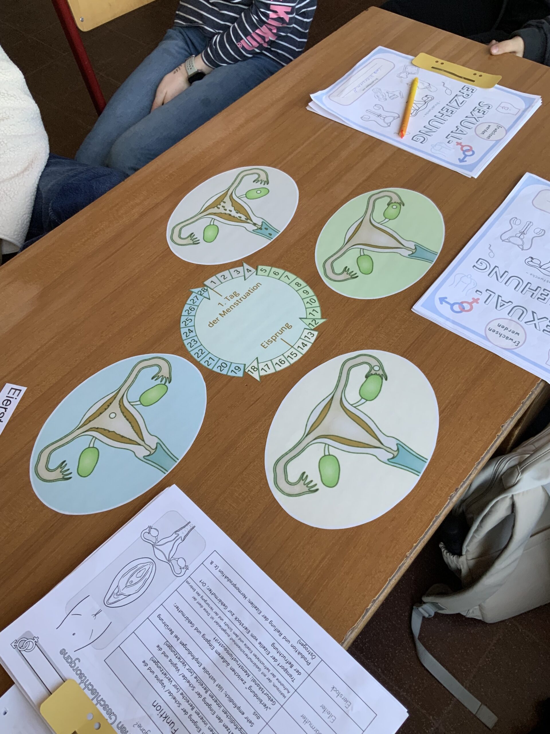 Du betrachtest gerade Projektwoche zur Sexualerziehung in den Jahrgängen 5/6